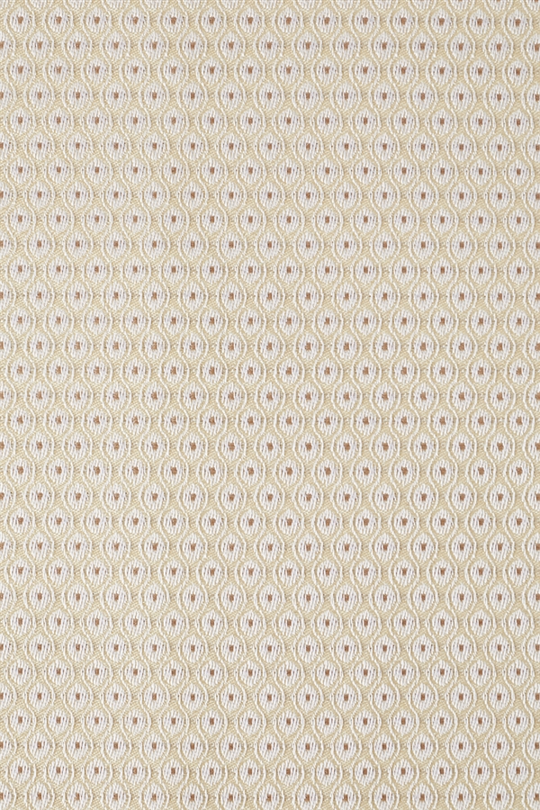 CRAVAT ALMOND